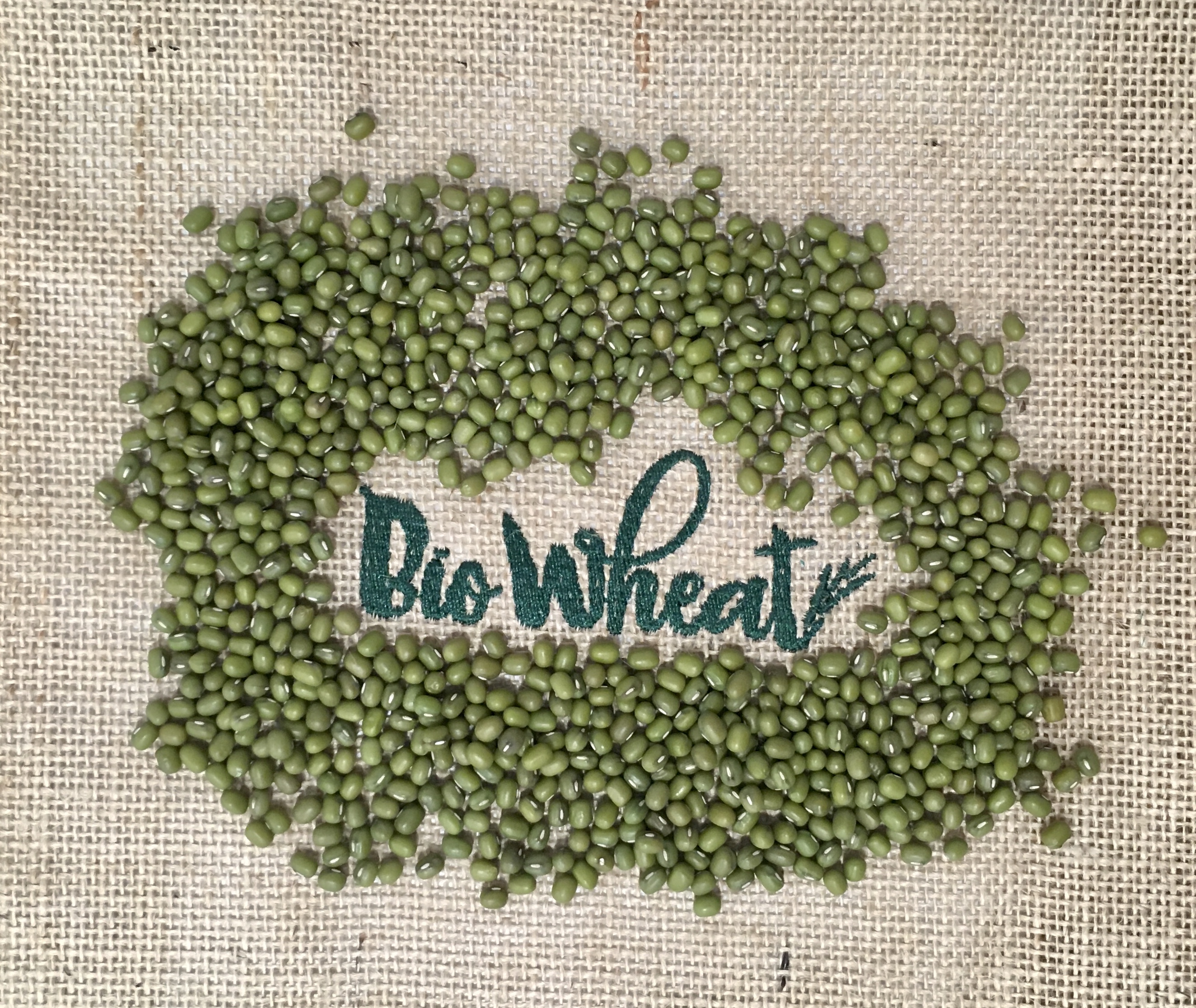 Semillas de Judía Mungo ecológicas para germinar - Biowheat - Jugo de  Hierba de Trigo - Tienda online